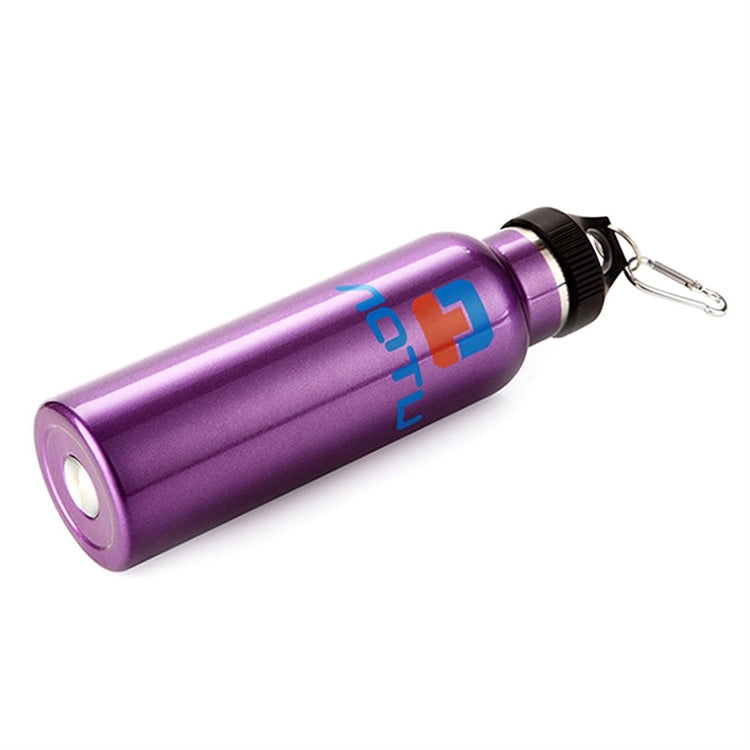 Aotu AT6646 Outdoor Travel Kettle Car Stainless Steel Thermos Bottle (Purple)