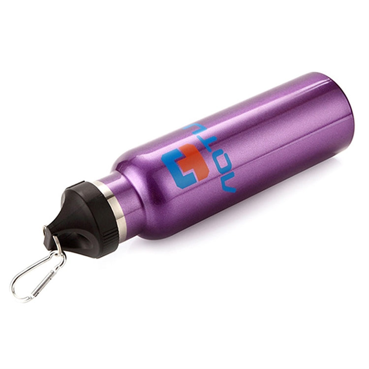 Aotu AT6646 Outdoor Travel Kettle Car Stainless Steel Thermos Bottle (Purple)