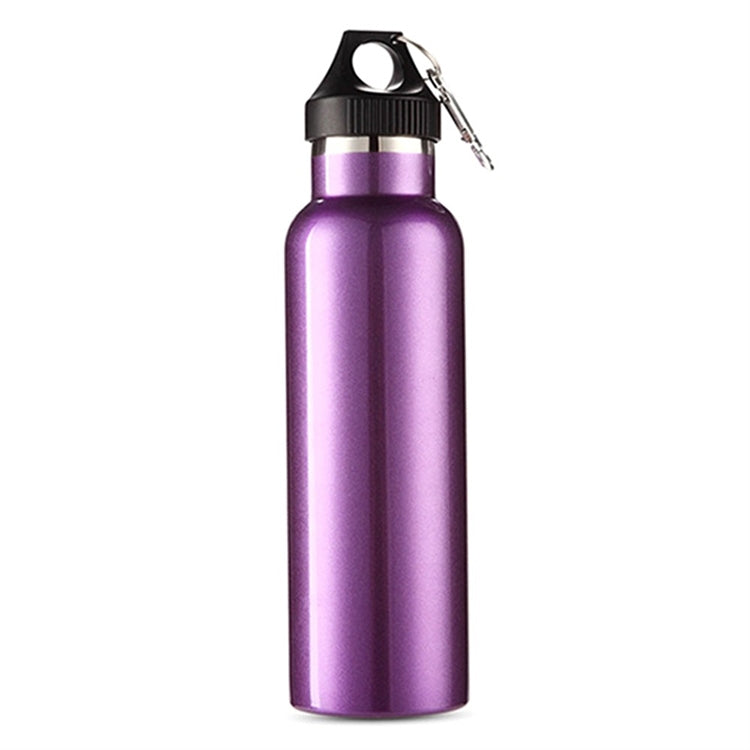 Aotu AT6646 Outdoor Travel Kettle Car Stainless Steel Thermos Bottle (Purple)