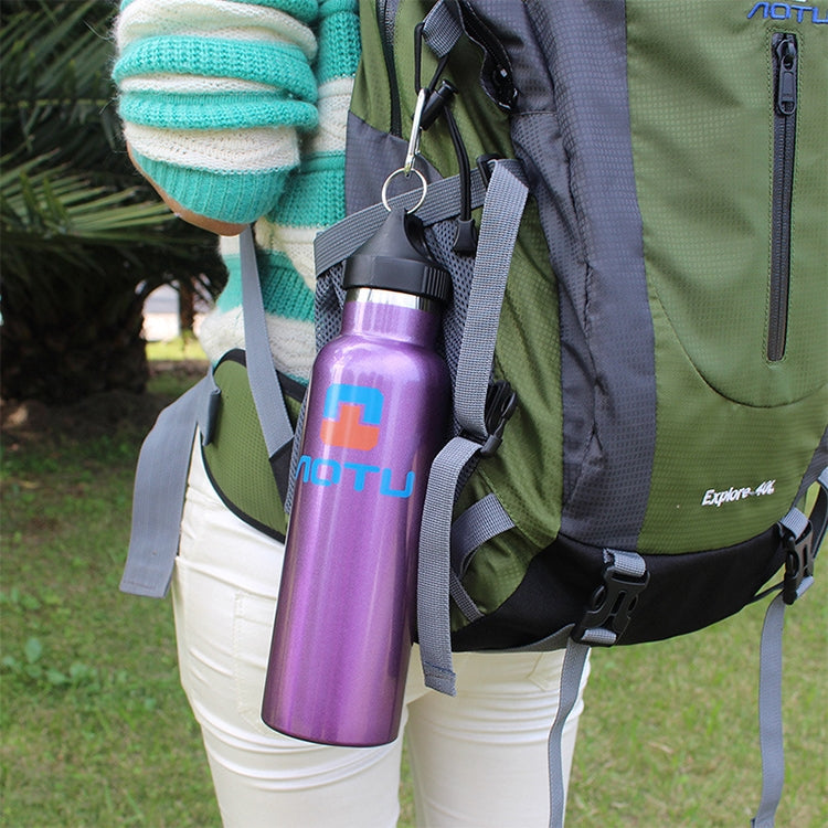 Aotu AT6646 Outdoor Travel Kettle Car Stainless Steel Thermos Bottle (Purple)
