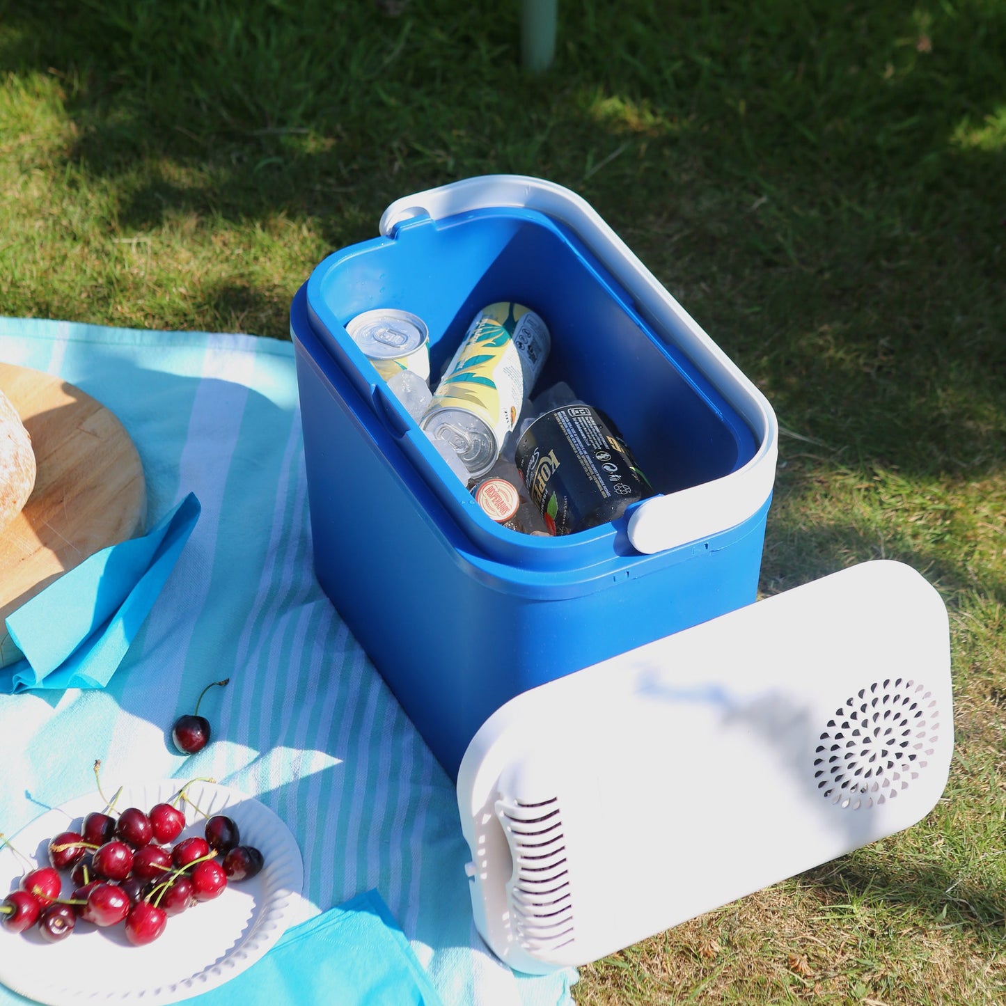 10L 12V Electric Cool Box