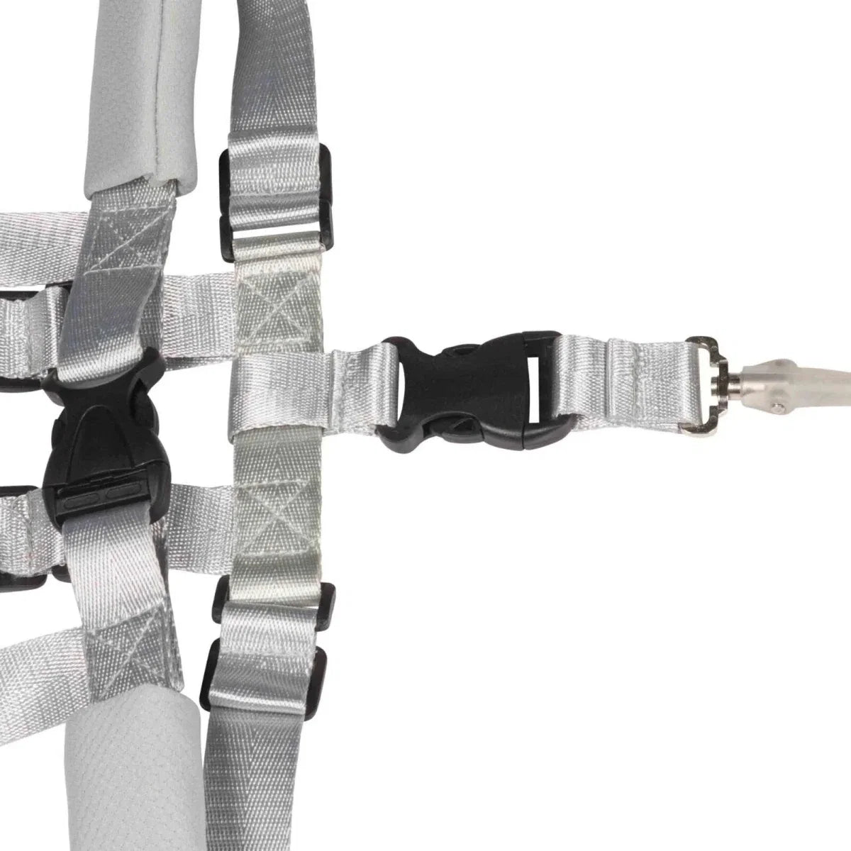 Dooky Safety Harness Set 