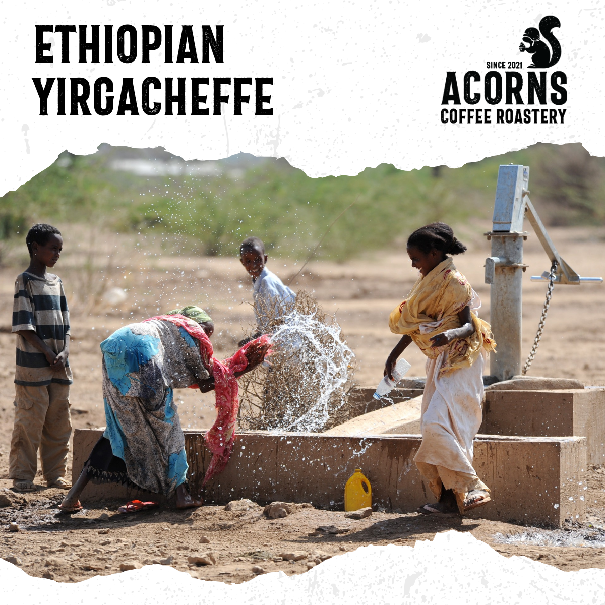 Ethiopian Yirgacheffe Medium Roast