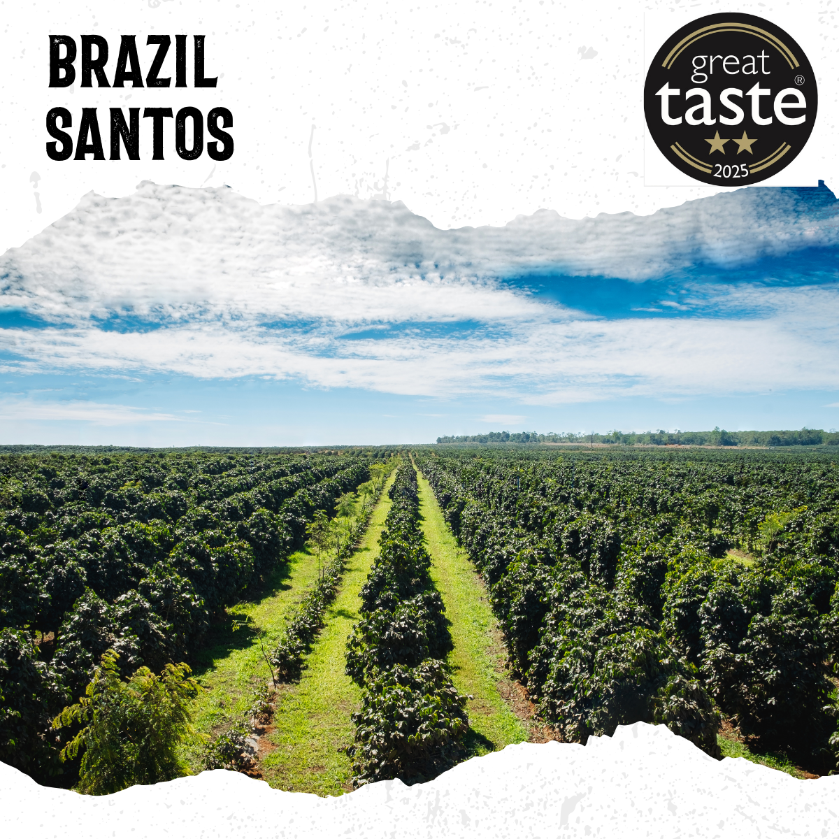 Brazil Santos