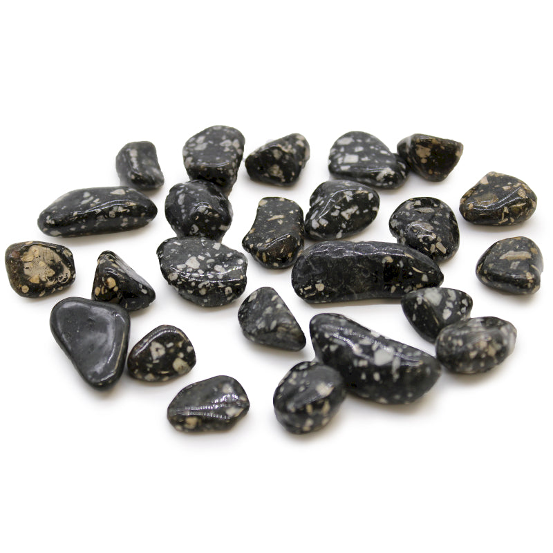Guinea Fowl Small African Tumble Stone