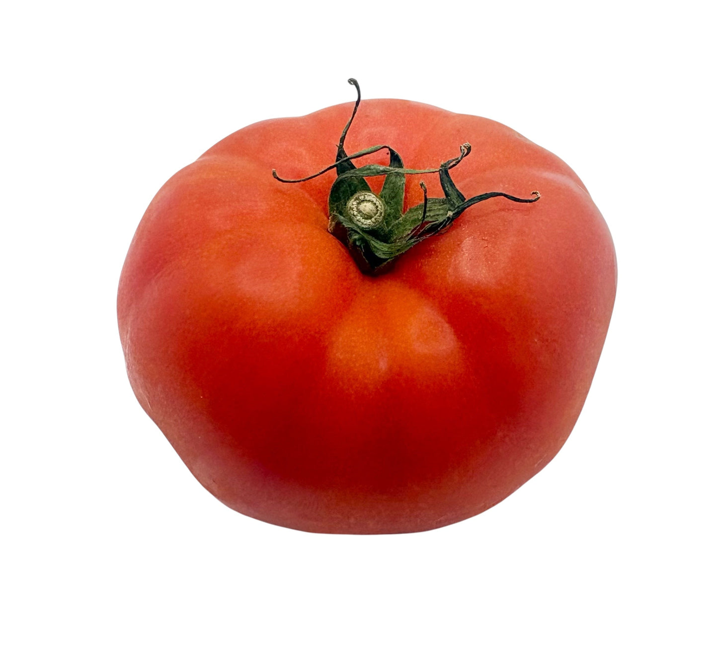 Beef Tomato (Each)
