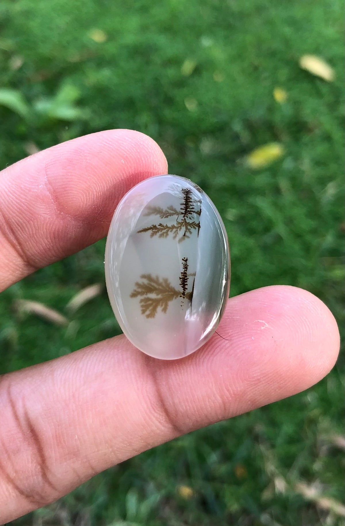 Unique Landscape in Natural Dendritic Agate Gemstone - Collector Gemstone - 23.6cartats