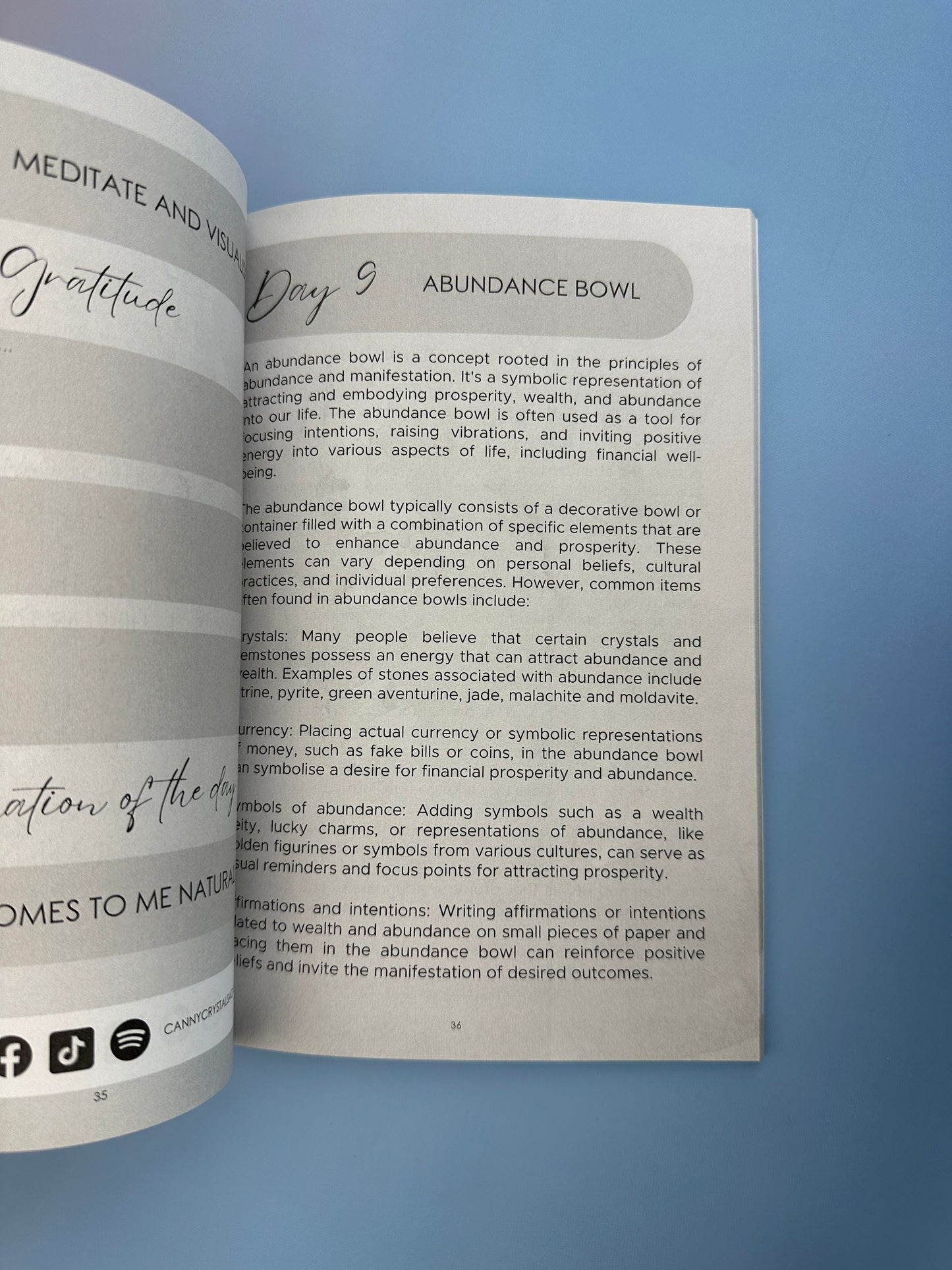 21 Day Manifesting Money Challenge Workbook