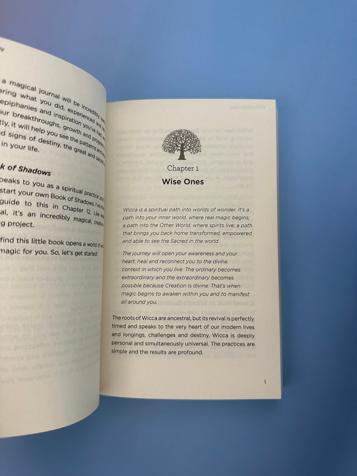 Wicca Made Easy, Phyllis Curott