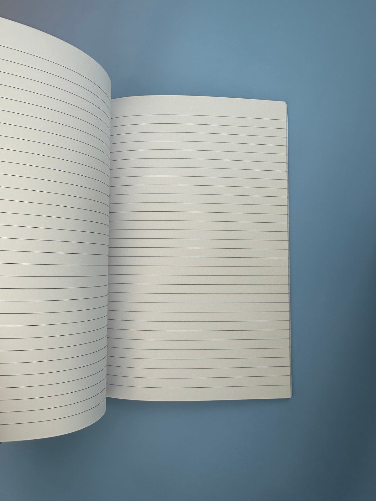 Manifestation notebook