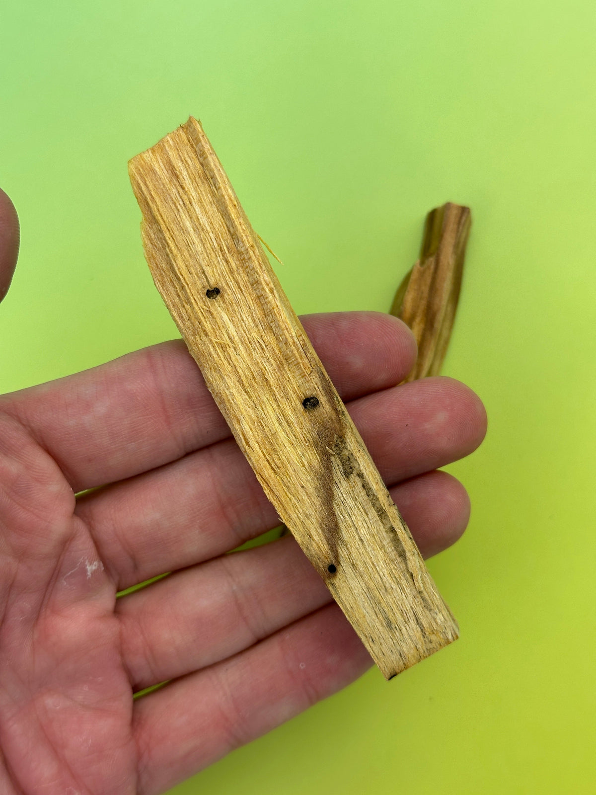 Palo santo wood