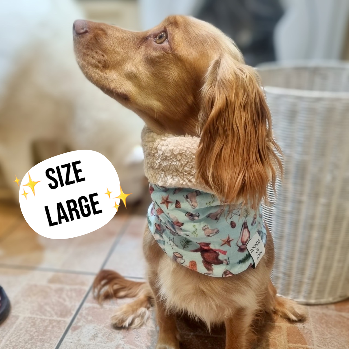 Florentina Dog Snood