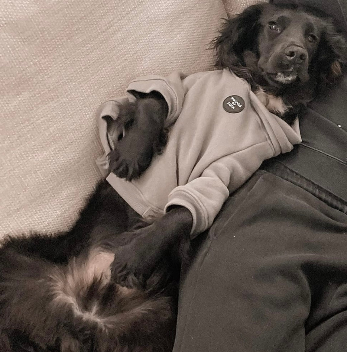Dog Hoodie - Light Teal