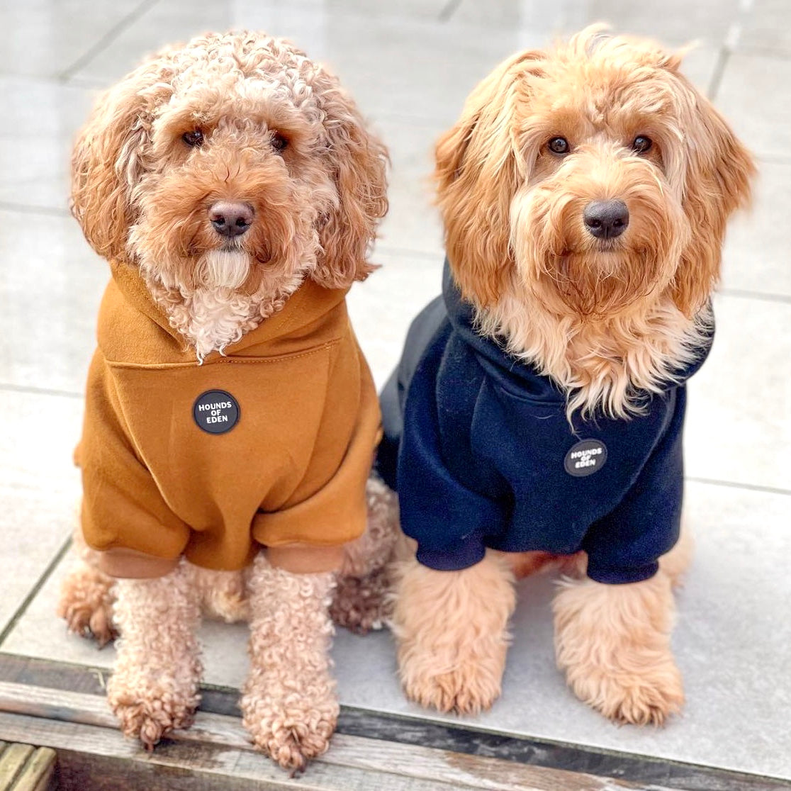 Dog Hoodie - Olive Green
