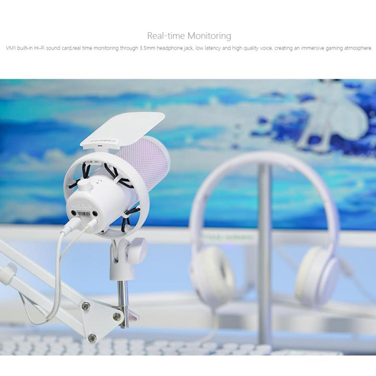 FEELWORLD VM1 USB Condenser Gaming Microphone for Streaming Noise Cancellation Mute RGB Light Boom Arm Stand, VM1-AS