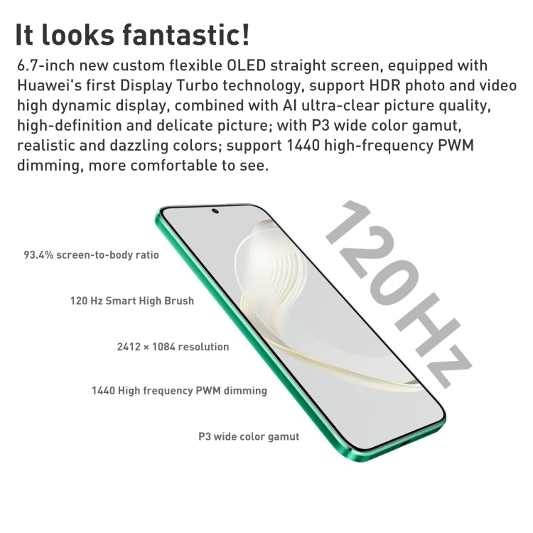 HUAWEI nova 11 FOA-AL00, 60MP Front Camera, 512GB, China Version