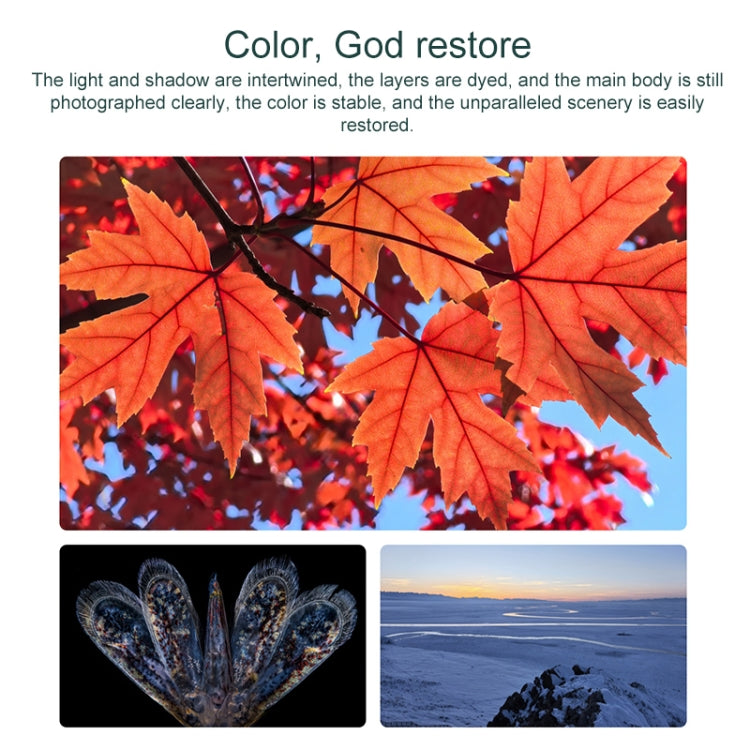 HUAWEI Mate 70, 12GB+256GB, Harmony AI, Side Fingerprint Identification, 6.7 inch HarmonyOS 4.3, NFC, OTG, Not Support Google Play (Black)