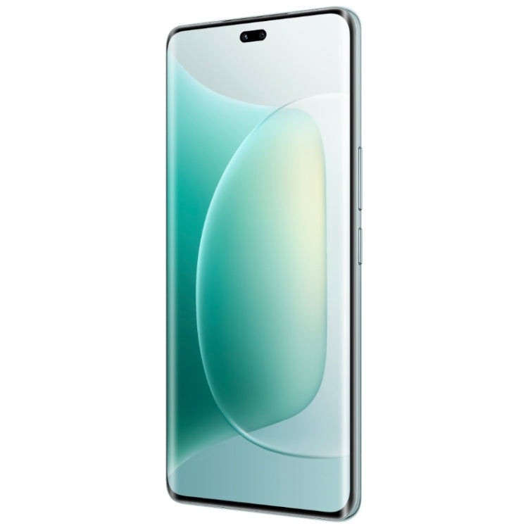 Honor 300 Pro, 16GB+512GB, Screen Fingerprint, 6.78 inch MagicOS 9.0 / Android 15 Snapdragon 8 Gen 3 Octa Core, Network: 5G, NFC, OTG, Support Google Play (Green)