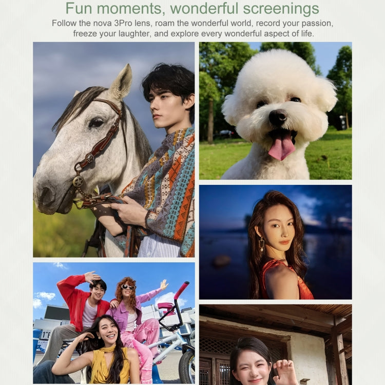 Huawei nova 13 Pro, 12GB+1TB, Screen Fingerprint Identification, 6.76 inch HarmonyOS 4.2, NFC, OTG, Not Support Google Play (White)