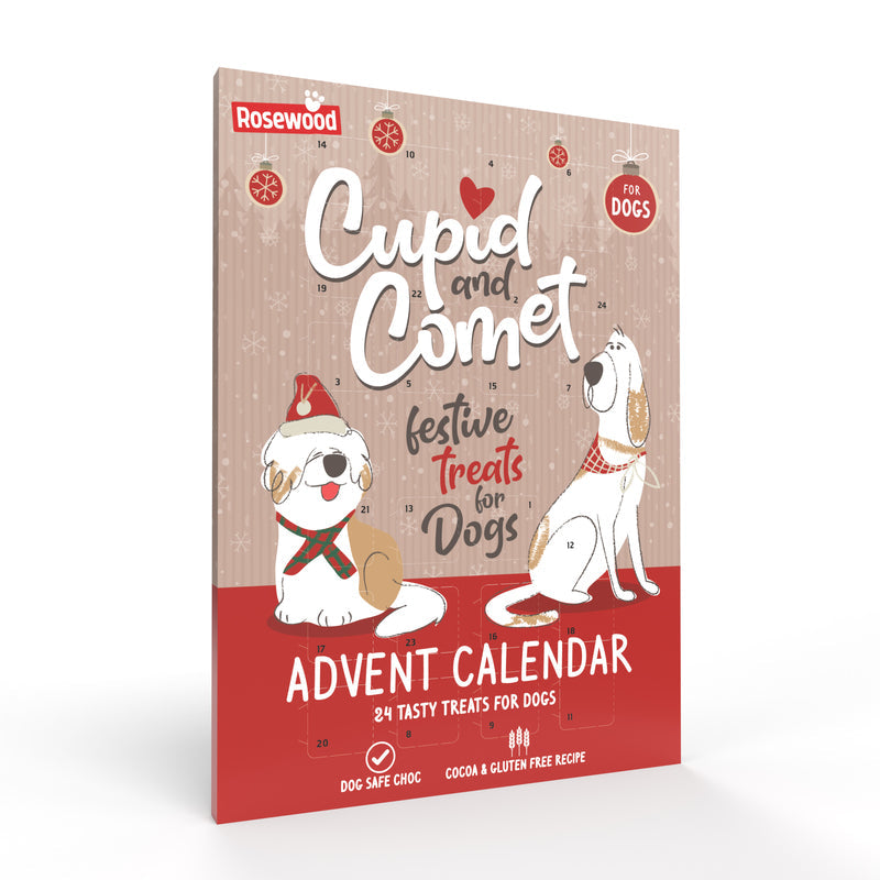Rosewood Xmas Advent Calendar for Dogs