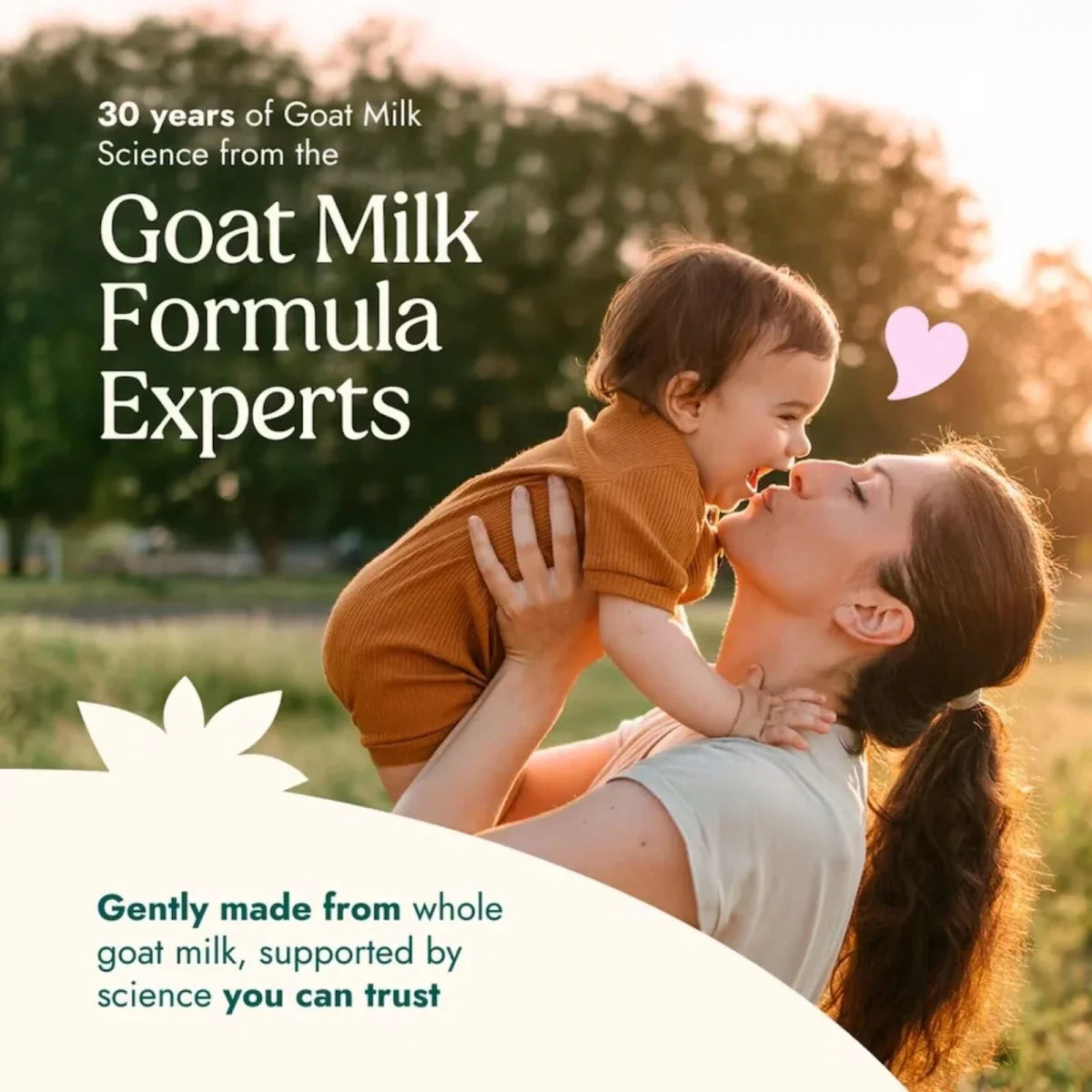 Nannycare Stage 2 Goat First Infant Goat Milk Formula 800g