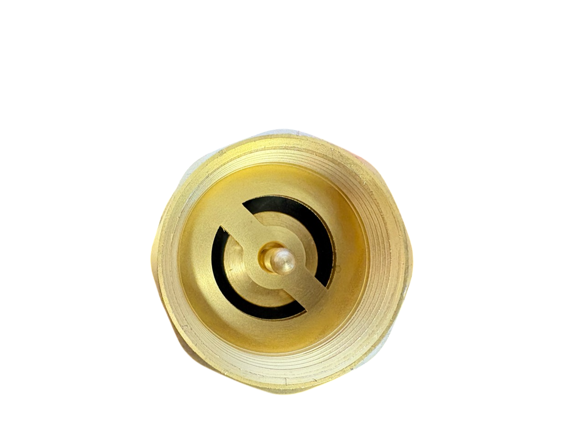 Brass Spring Check Valve 1/2" BSPF