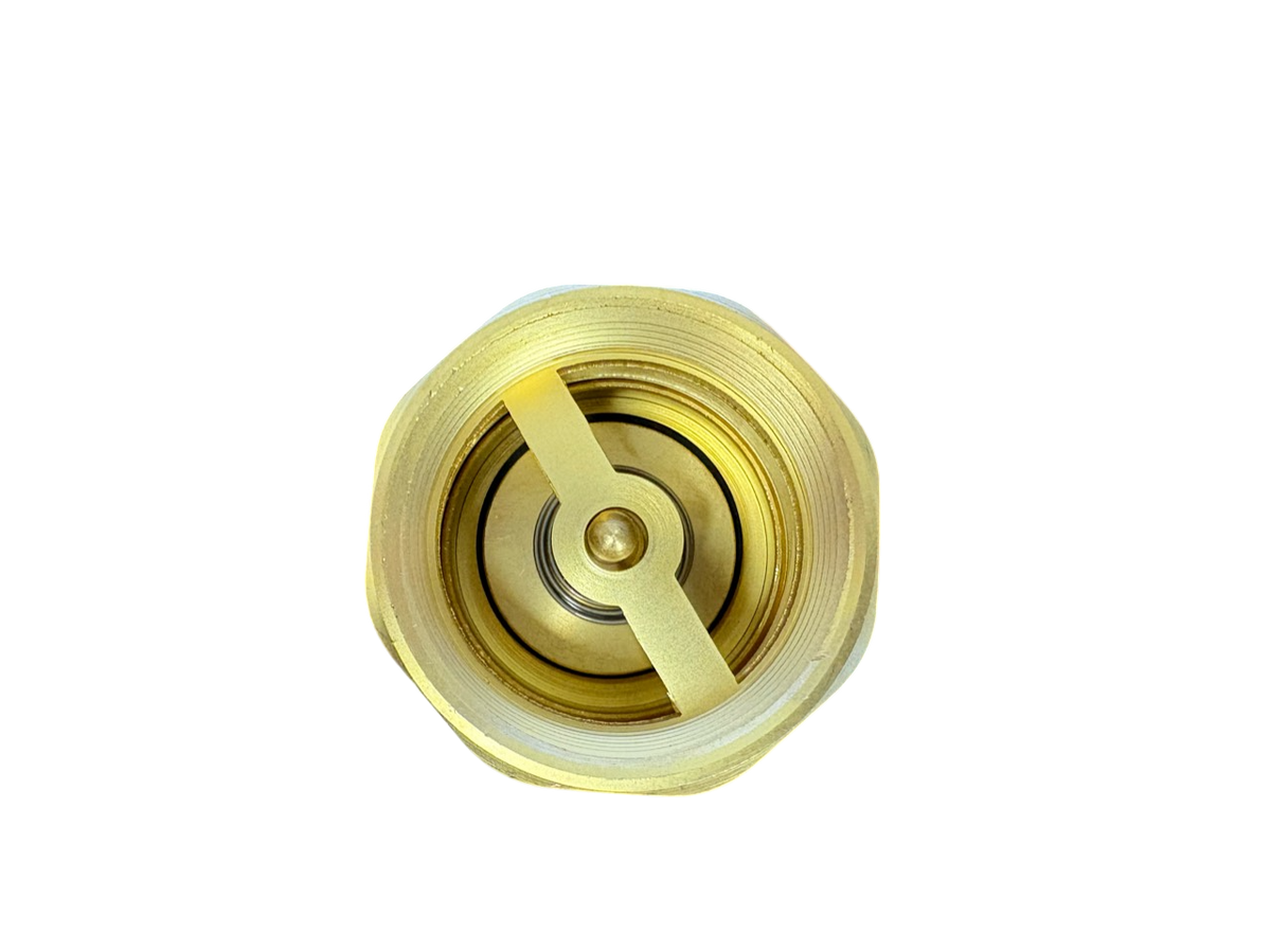 Brass Spring Check Valve 2" BSPF