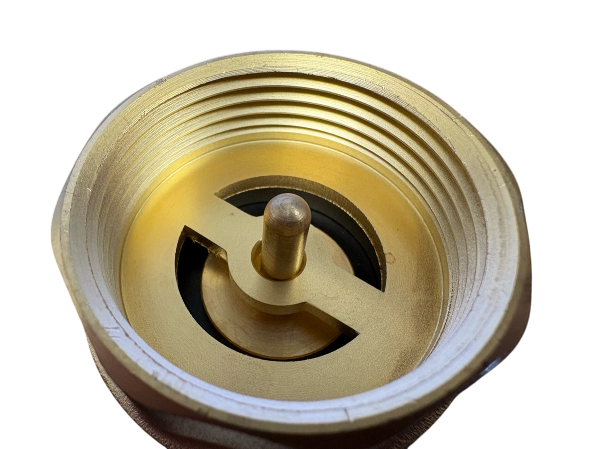 Brass Spring Check Valve 1" BSPF