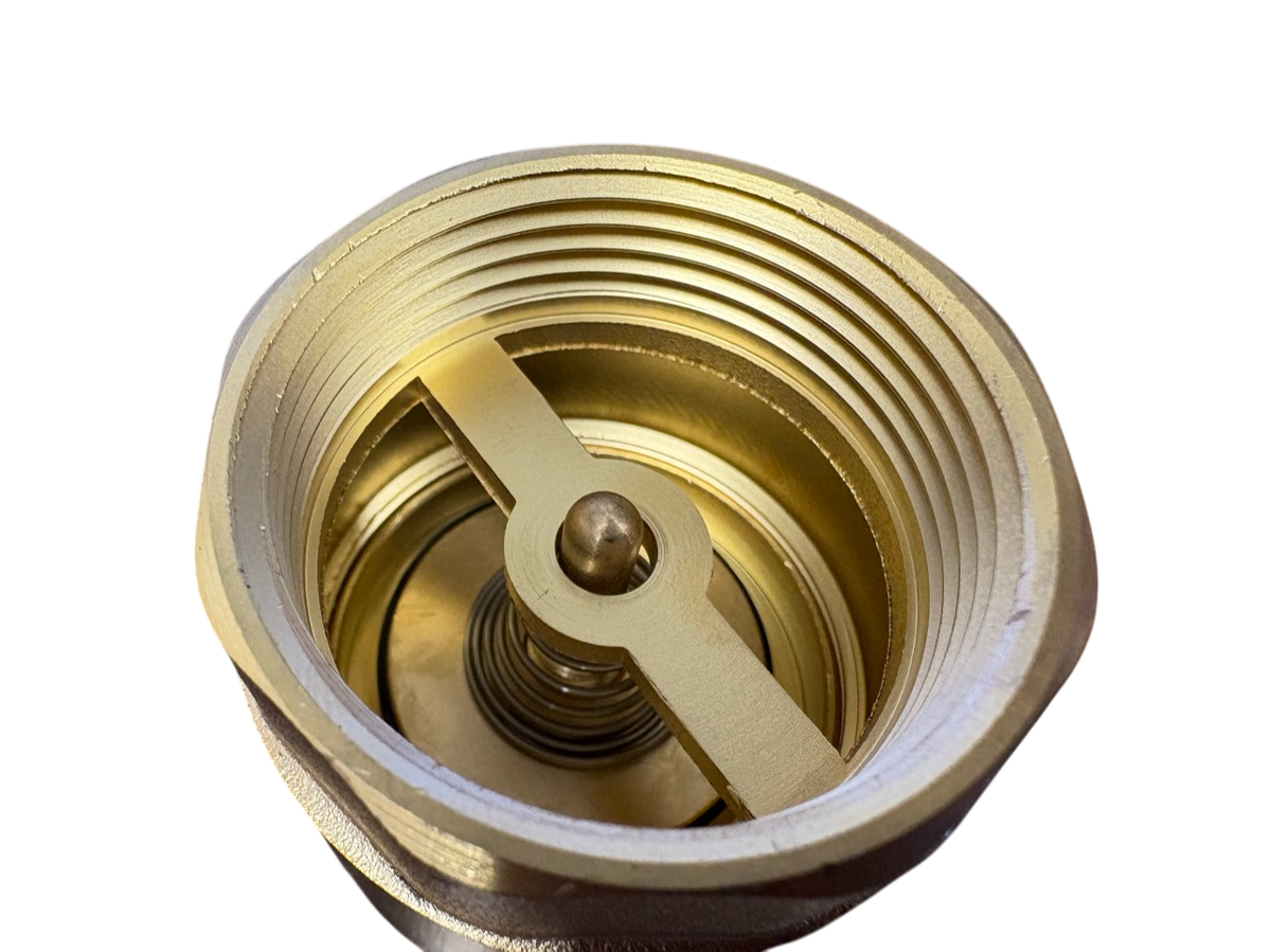 Brass Spring Check Valve 1/2" BSPF