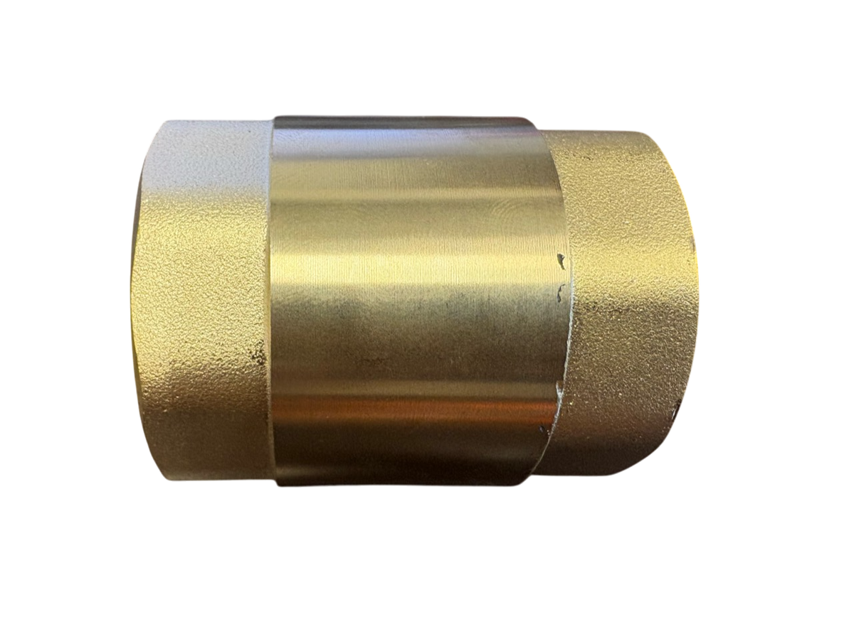 Brass Spring Check Valve 3/4" BSPF