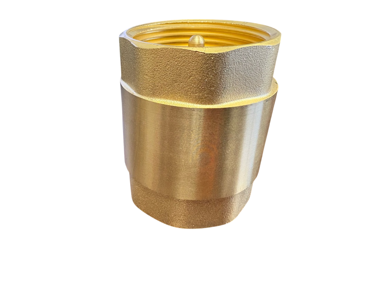 Brass Spring Check Valve 1/2" BSPF