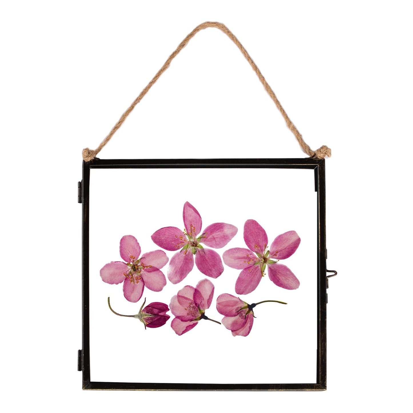 8" x 8" Black Hanging Metal Photo Frame