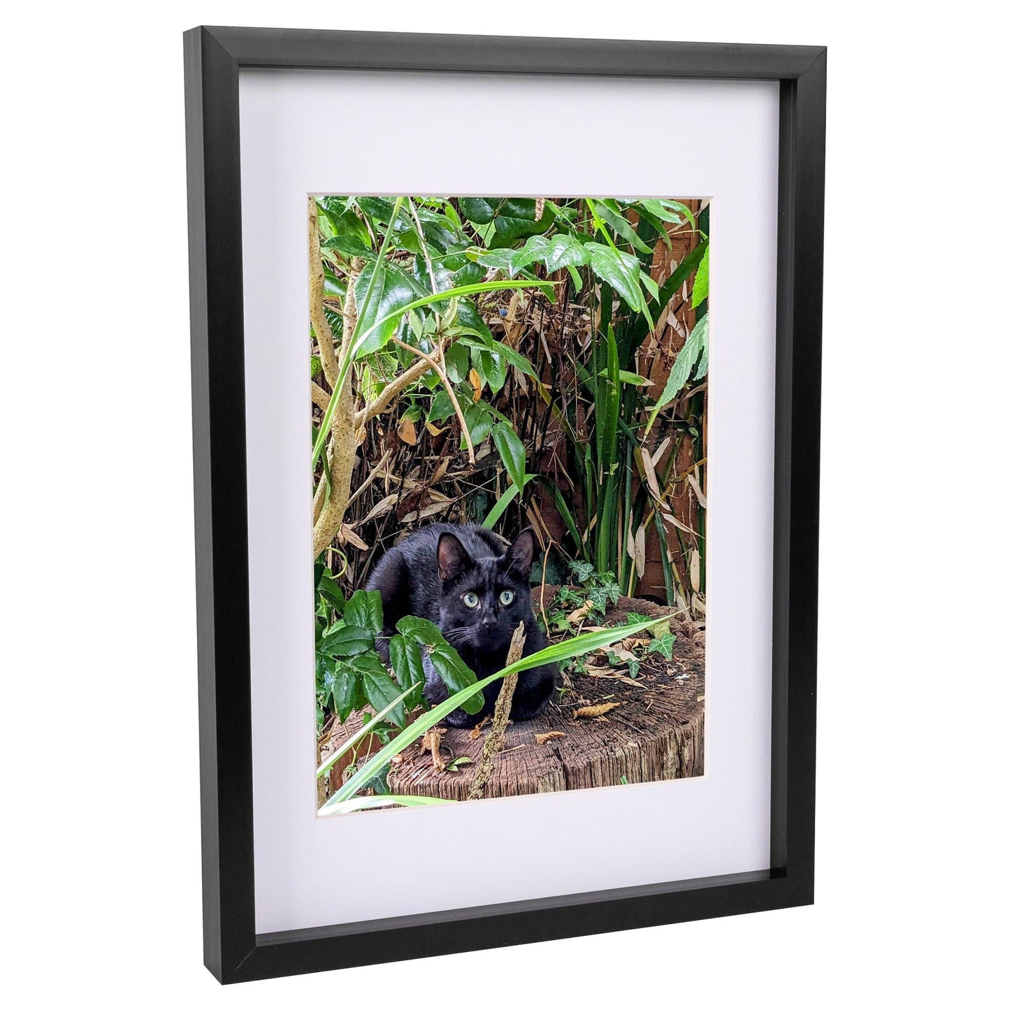 A3 (12" x 17") 3D Box Photo Frame with A4 Mount