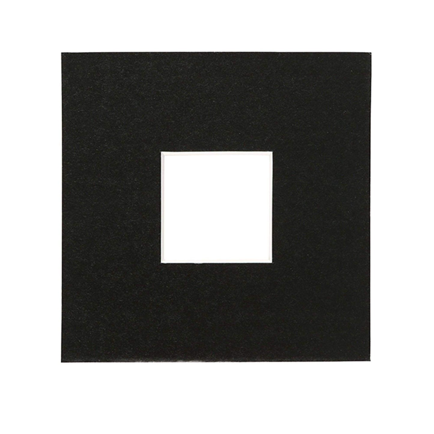 2" x 2" Picture Mount for 6" x 6" Frame