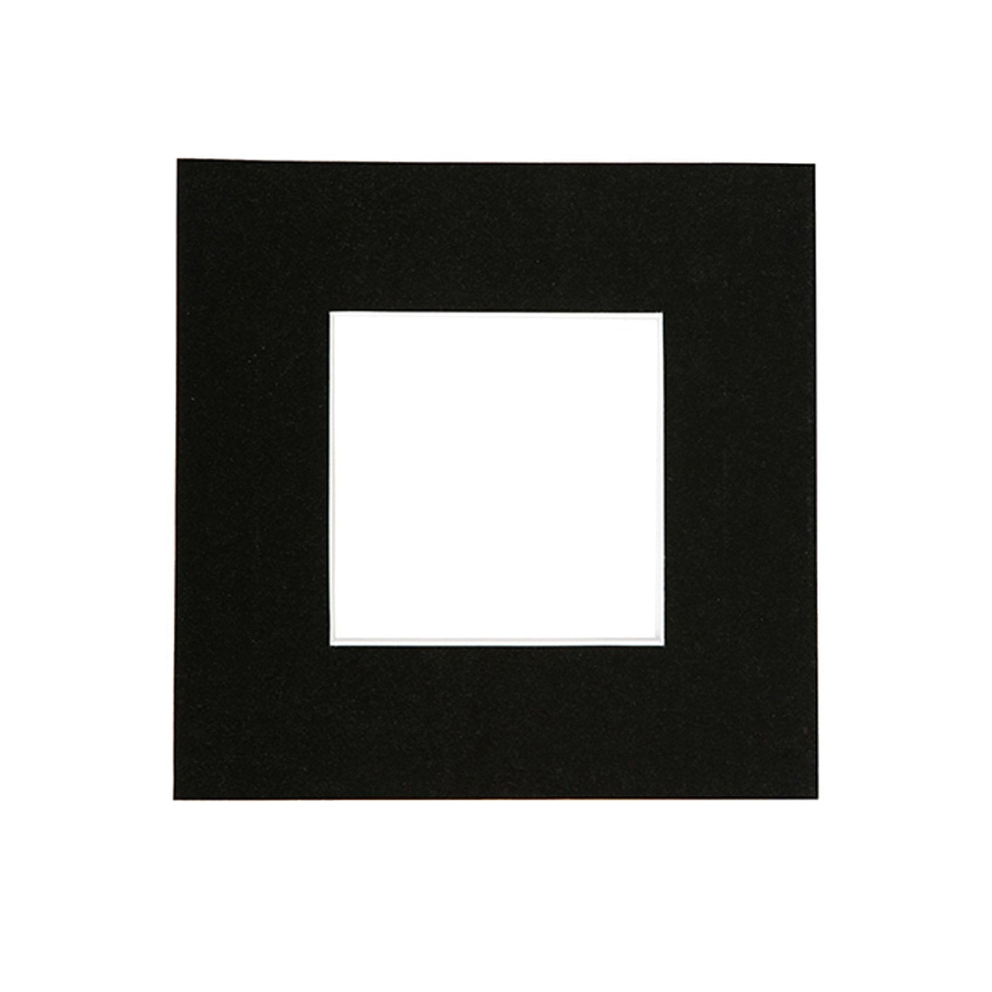 4" x 4" Picture Mount for 8" x 8" Frame