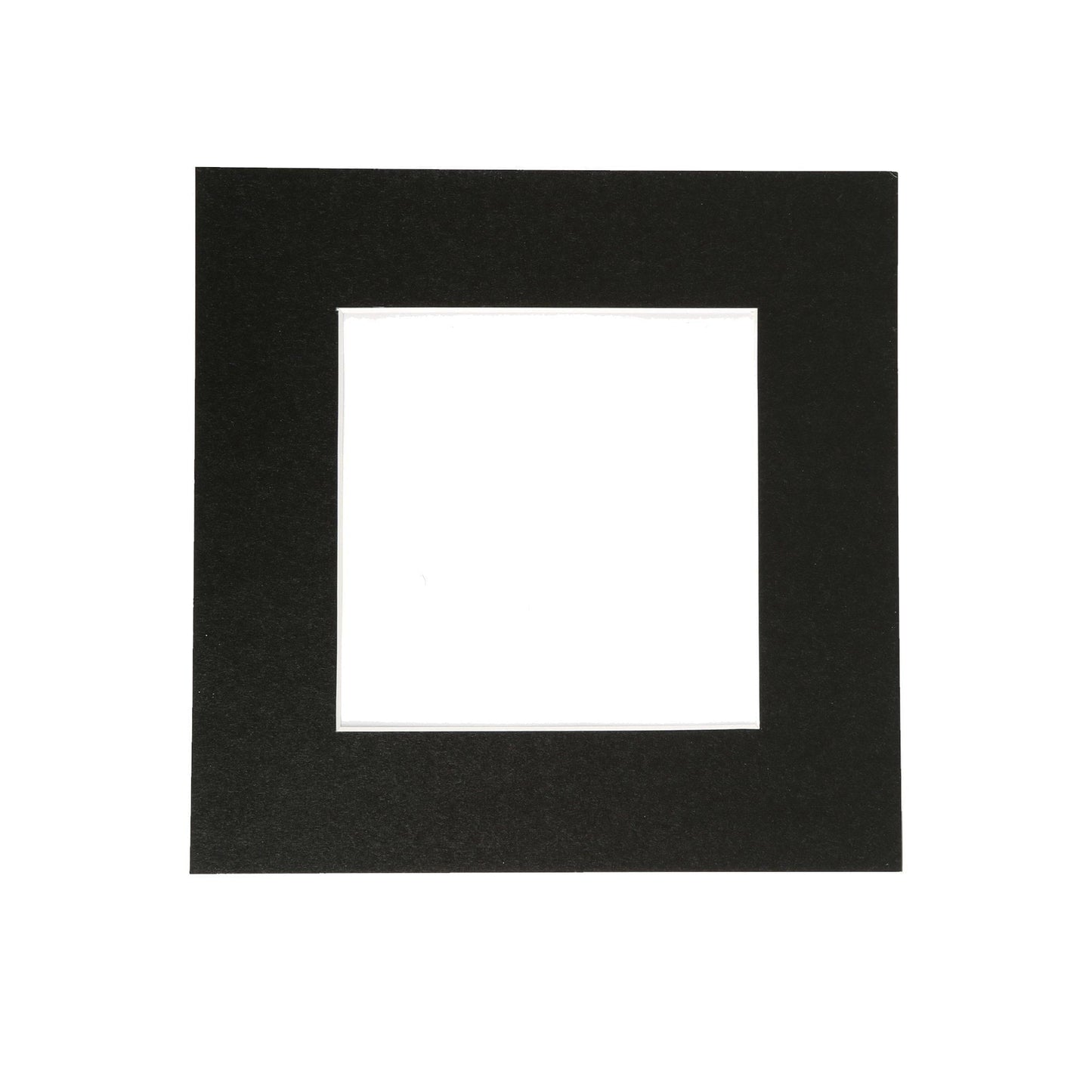 6" x 6" Picture Mount for 10" x 10" Frame
