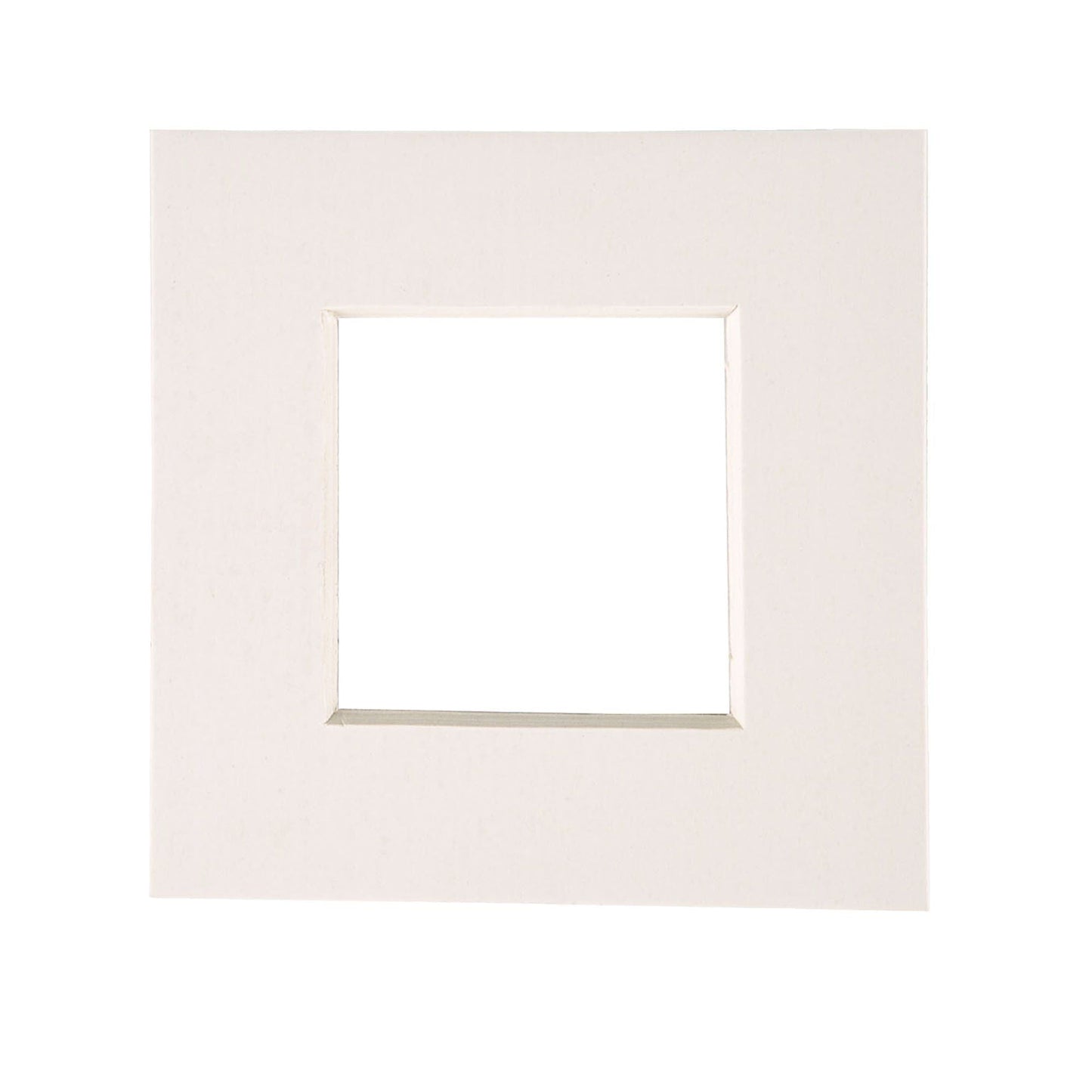 2" x 2" Picture Mount for 4" x 4" Frame