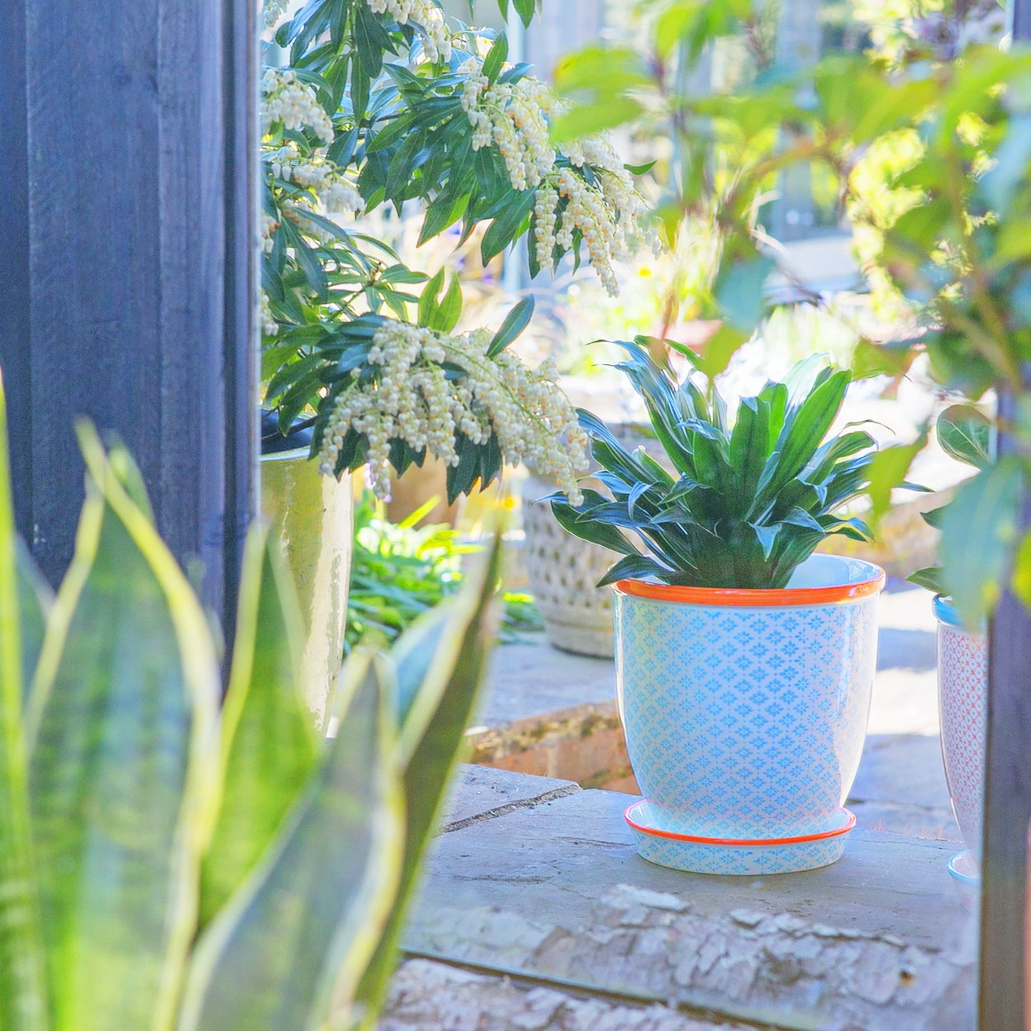 20cm Hand Printed Stoneware Plant Pot with Saucer
