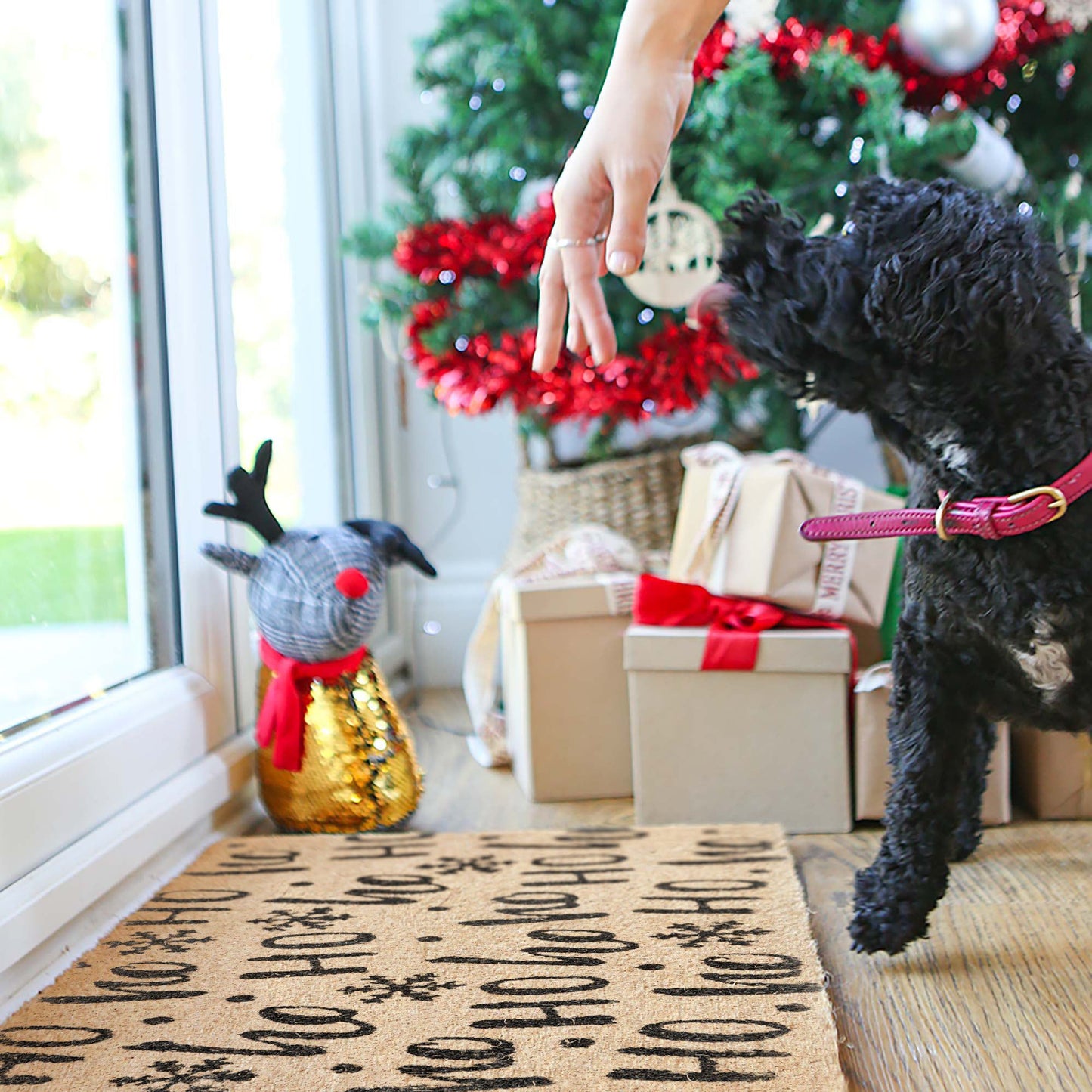 60cm x 40cm Ho Ho Ho Coir Door Mat