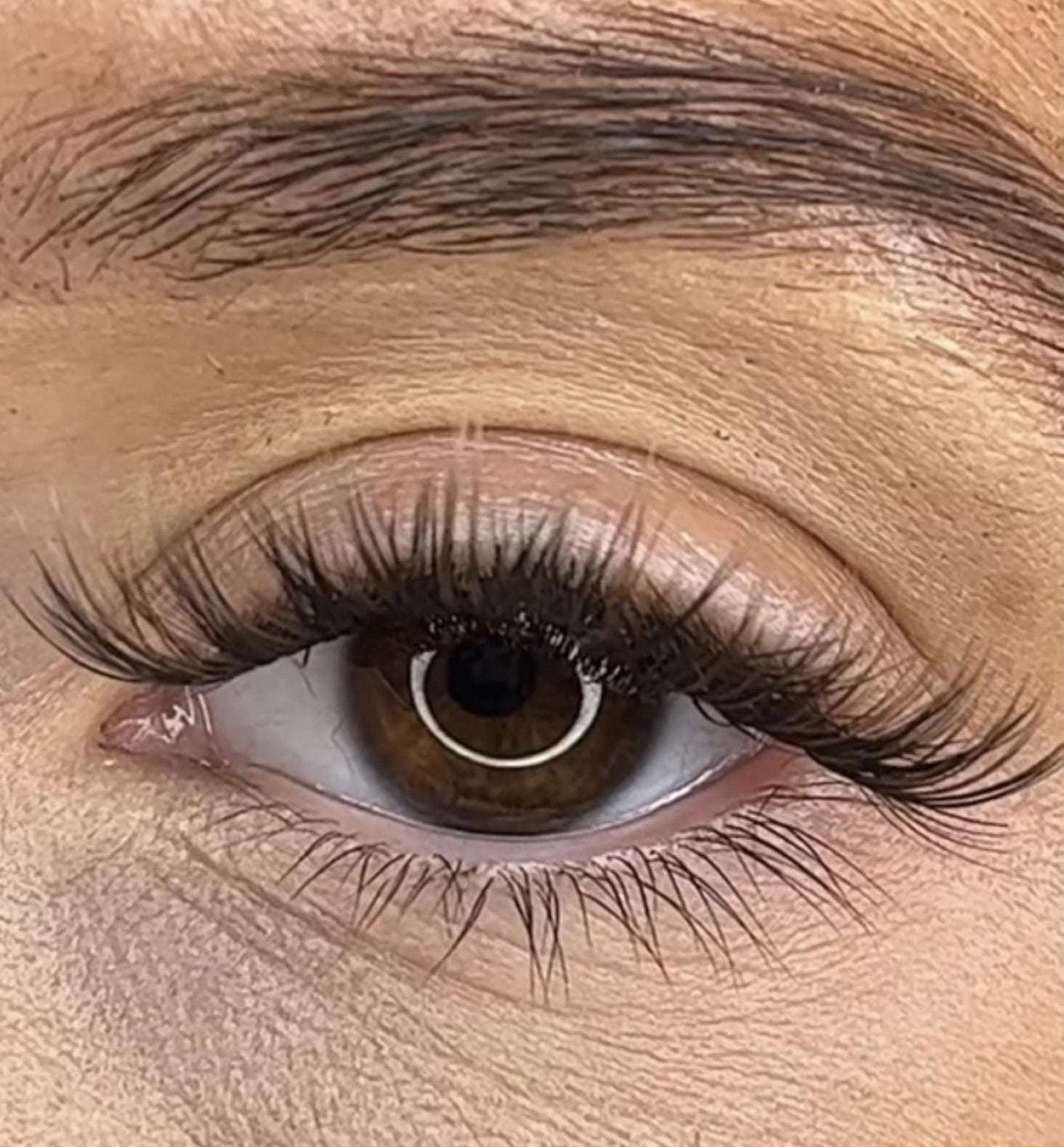 Niamh - 3D Black/Brown 'C' Curl Lash Ribbons® - Sale Item