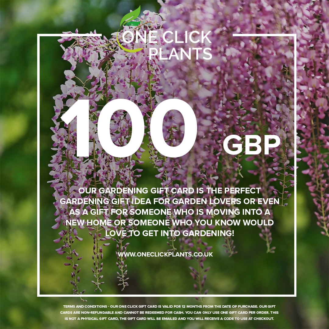 One Click Plants Gardening Gift Card from £25 to £300