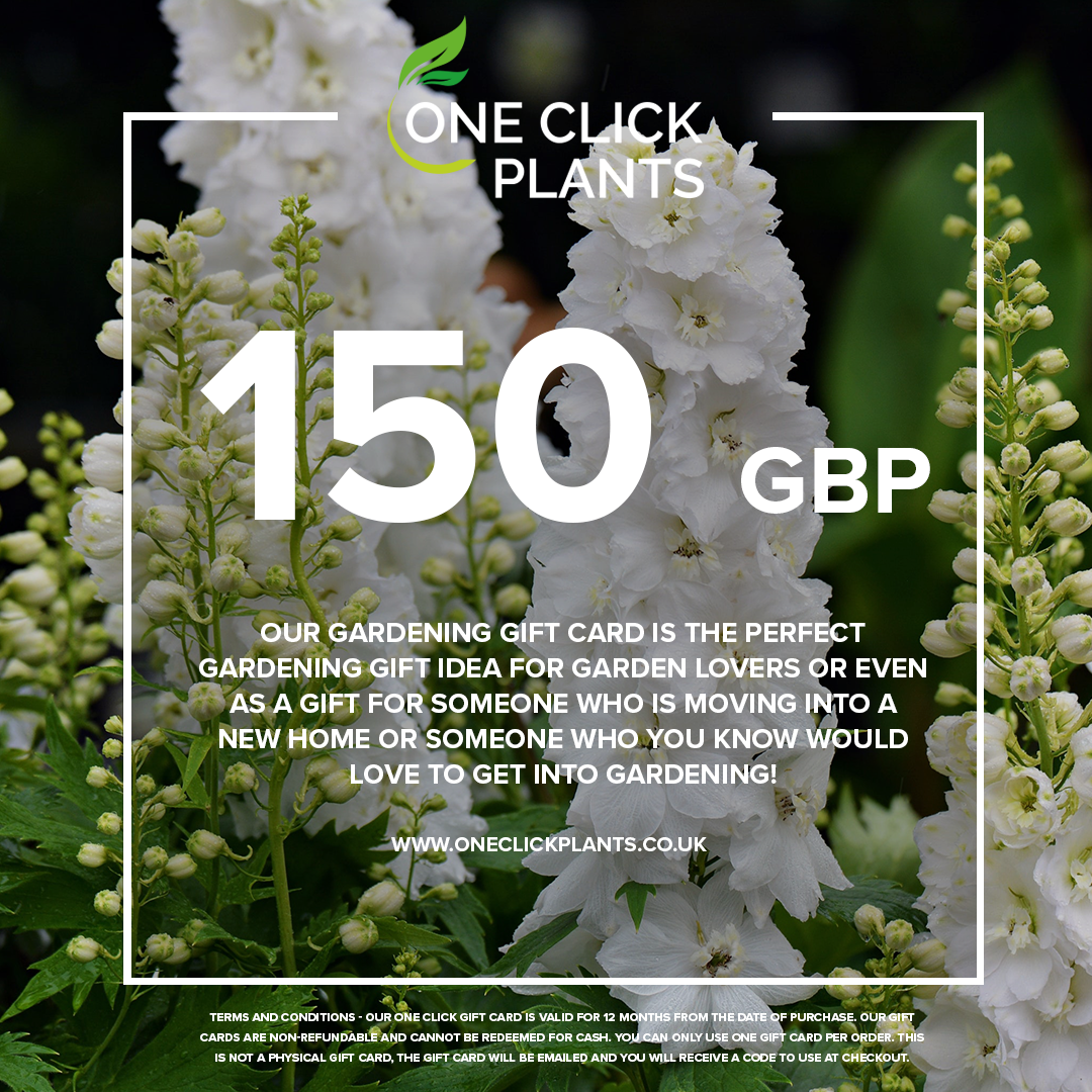 One Click Plants Gardening Gift Card from £25 to £300