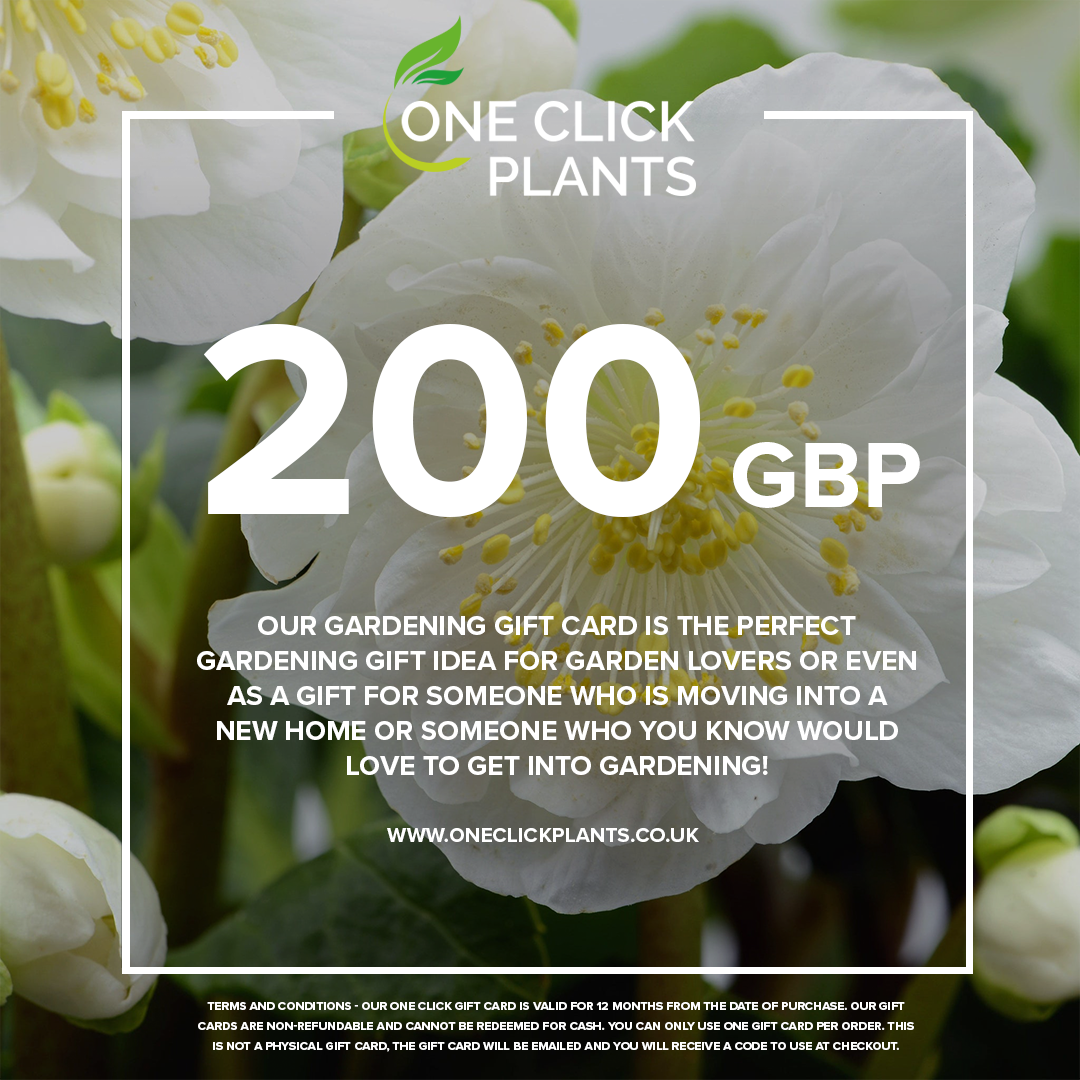 One Click Plants Gardening Gift Card from £25 to £300