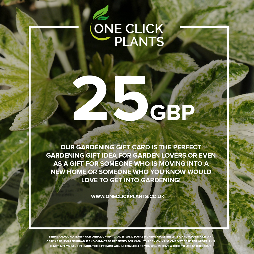 One Click Plants Gardening Gift Card from £25 to £300
