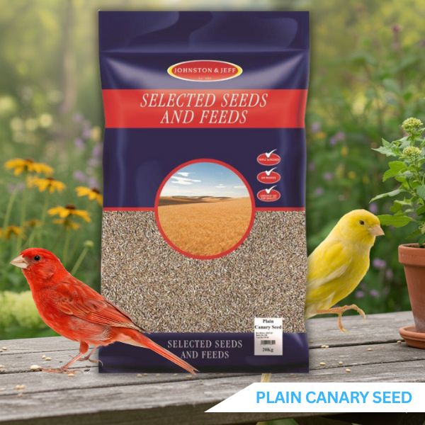 Johnston & Jeff Plain Canary Bird Seed - For Canaries, Finches & Budgerigars