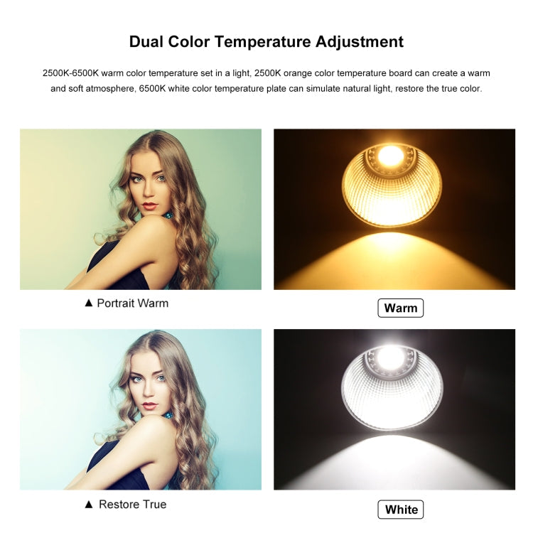PULUZ 60W Studio Video Light 2500K-6500K Dual Color Temperature Professional Photography Fill Light (Black)