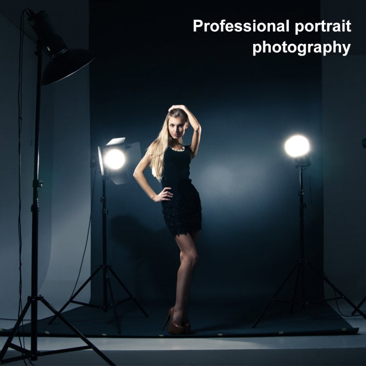 PULUZ 3m x 6m Photography Background Thickness Photo Studio Background Cloth Backdrop (Black)
