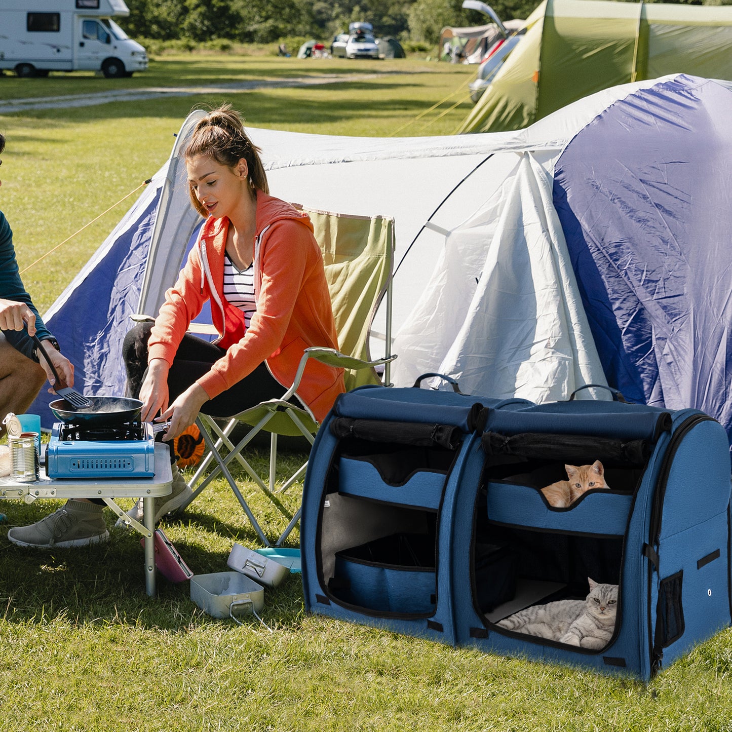 2 Compartments Pet Travel Carriers with Removable Hammocks and Mats-Black