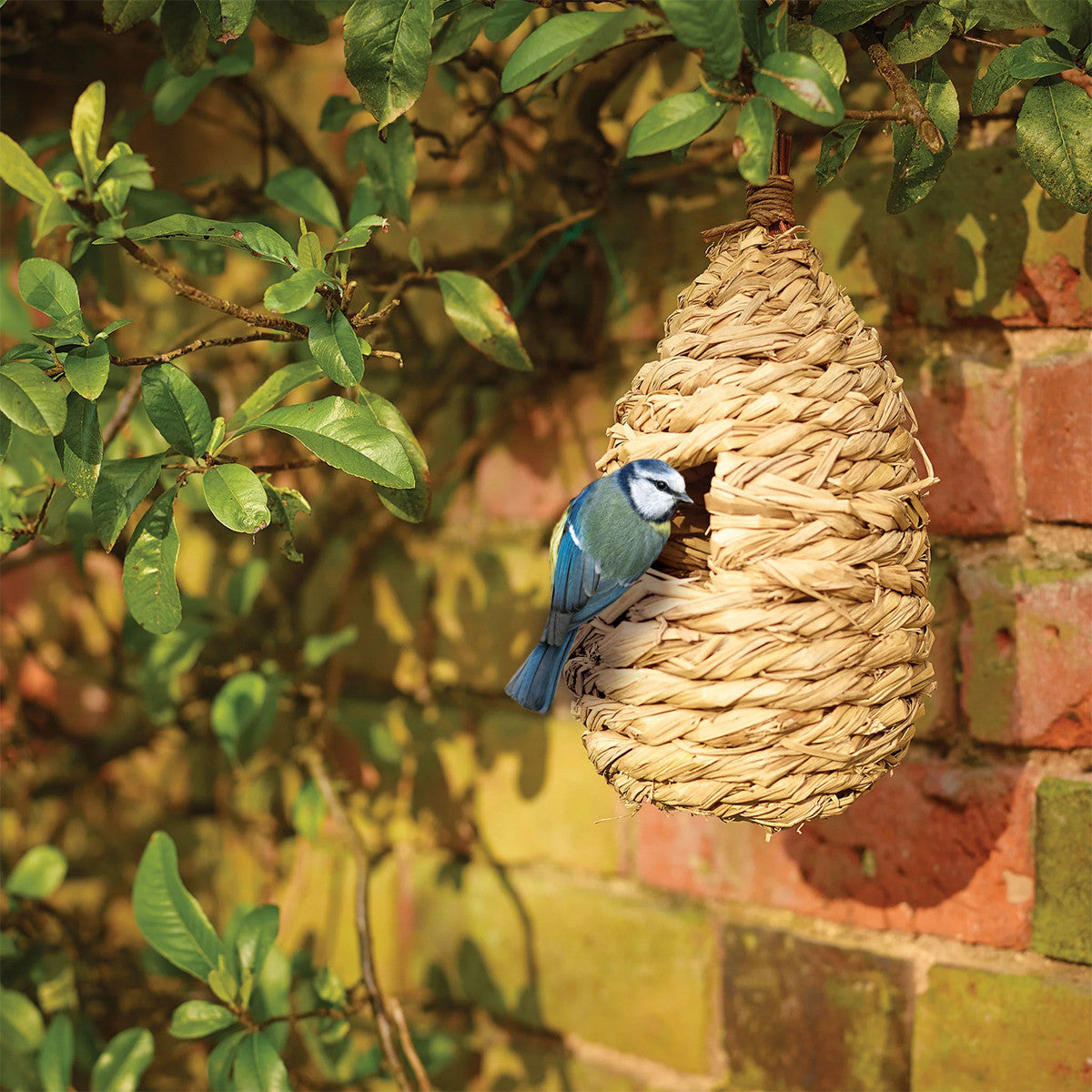 Peckish Bird Roosting Pouch - Case of 5