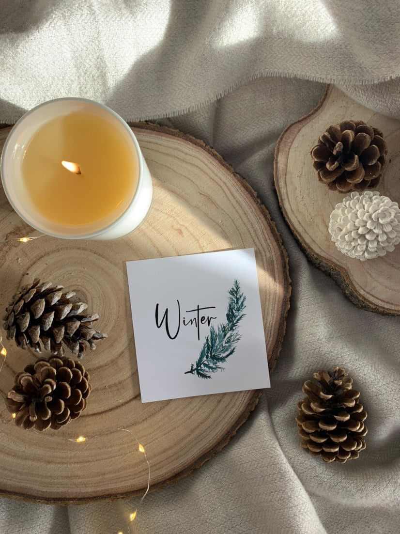 Winter Fir Stem Winter Christmas Seasonal Wall Home Decor Print